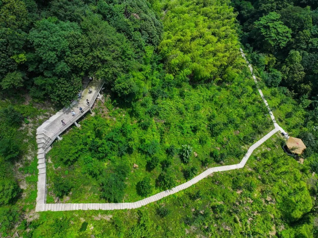 国家森林公园 · 森之谷家园 实景