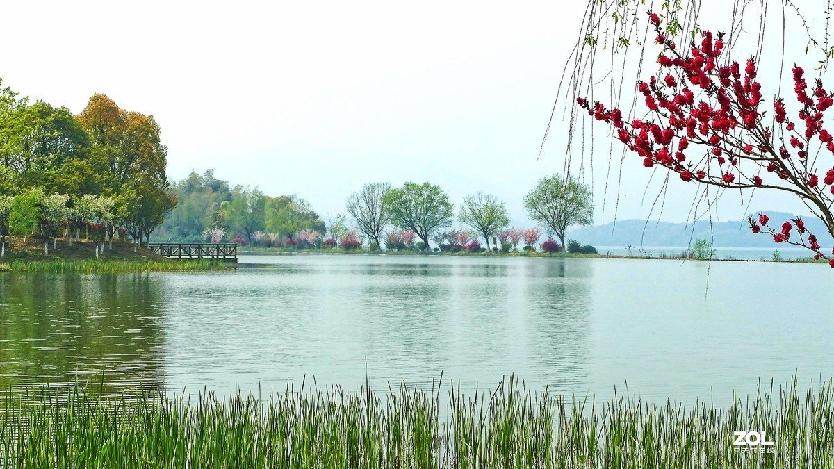 湖氿水色实景
