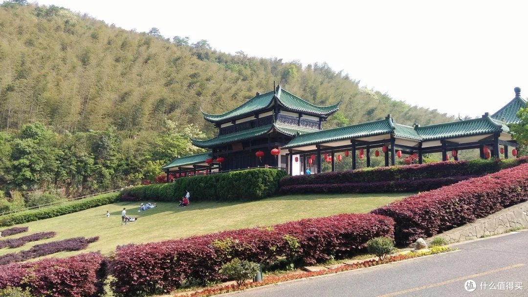 宜兴民俗 · 宜兴竹海打卡一日游。_茶具_什么 宜兴实景照片