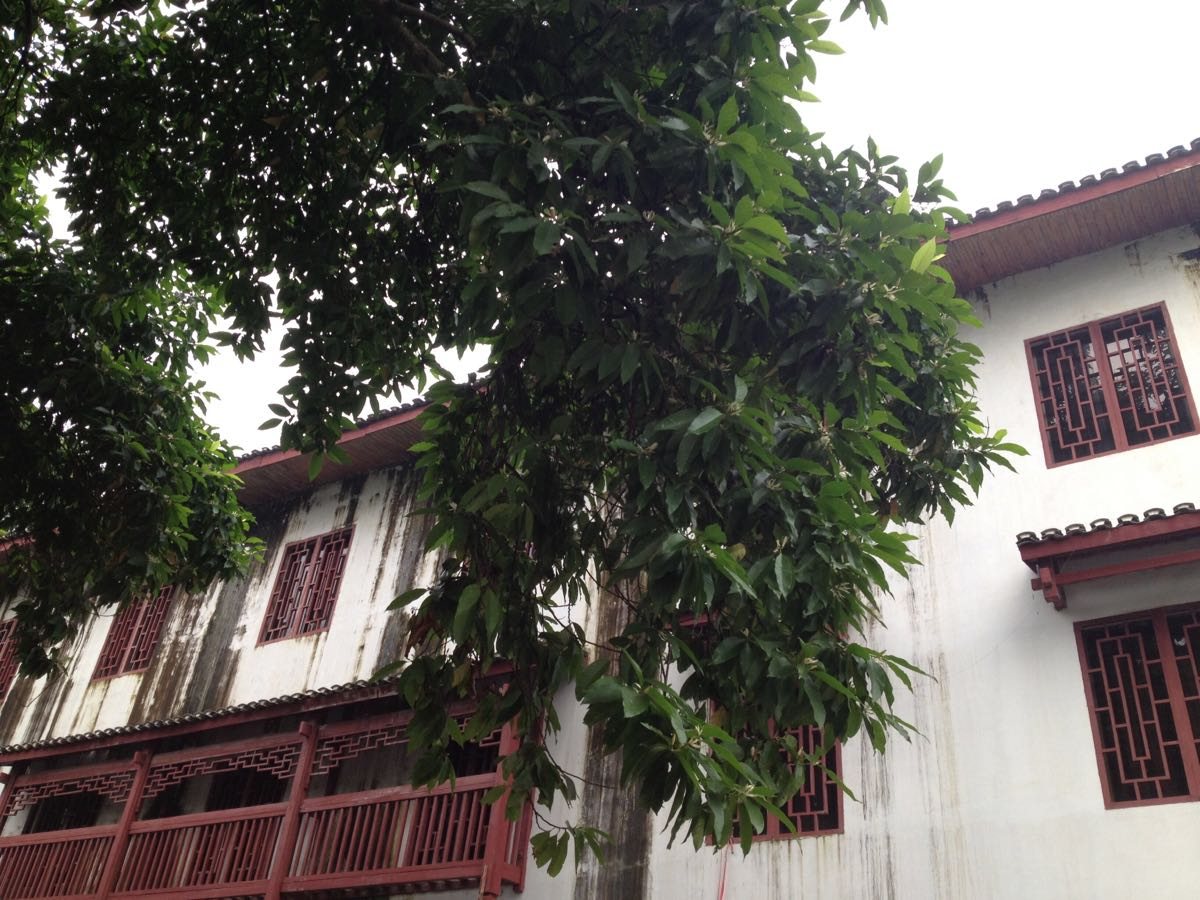 北渠村
