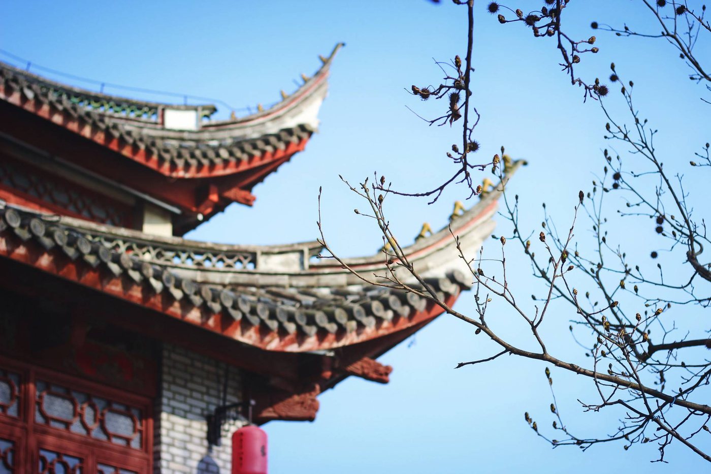 培源故居 实景氛围图