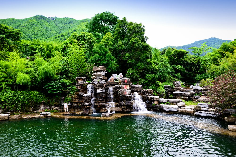 夏日竹海 实景