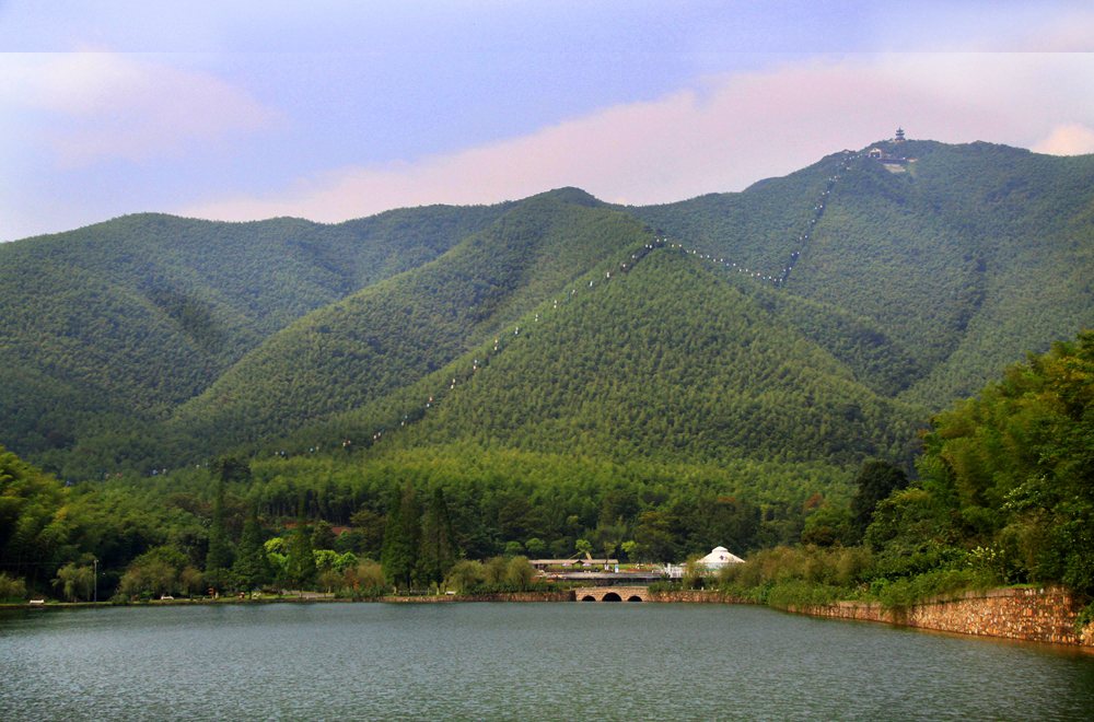 宜兴竹海步道实景