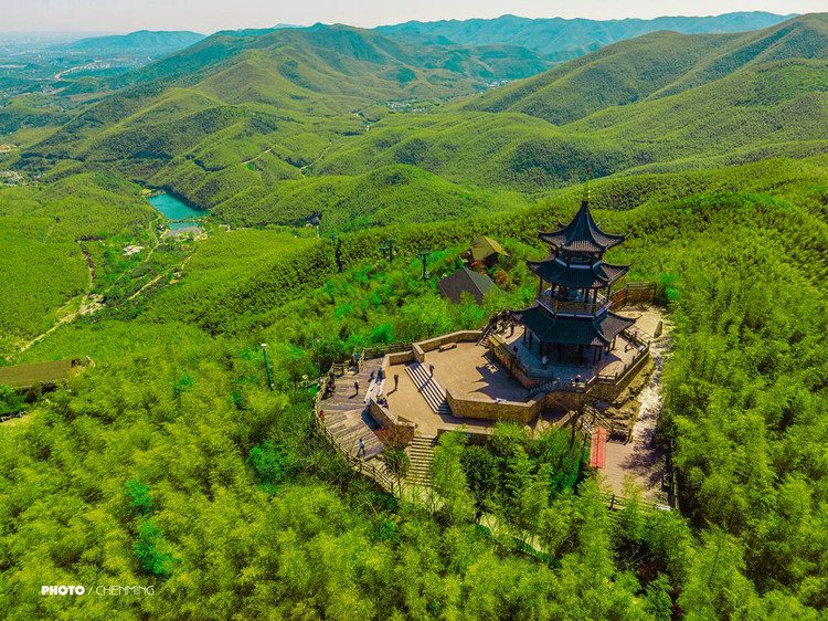 宜兴竹海风景区 · 春日美好，不负好时光，快来宜兴竹 宜兴实景照片