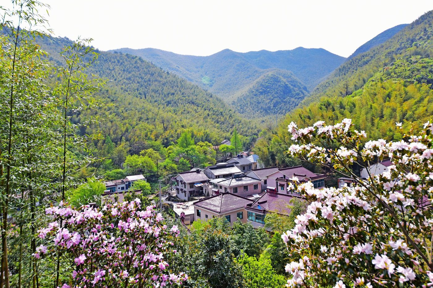 深山竹海 · 一脚踏三省 实景氛围图