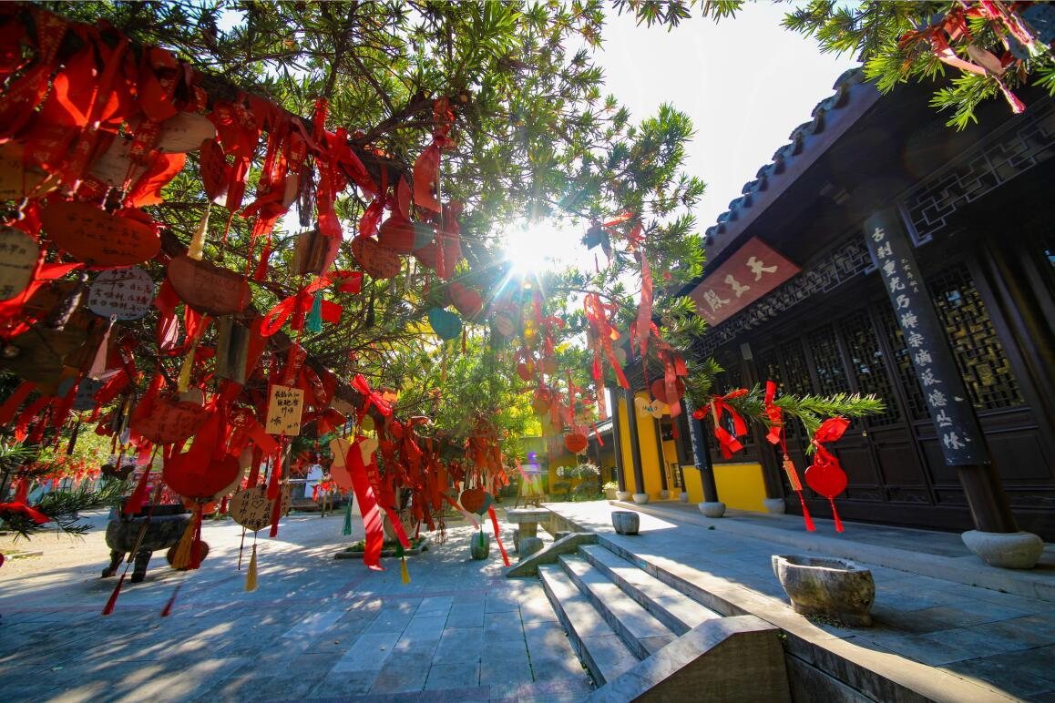 张渚镇 实景
