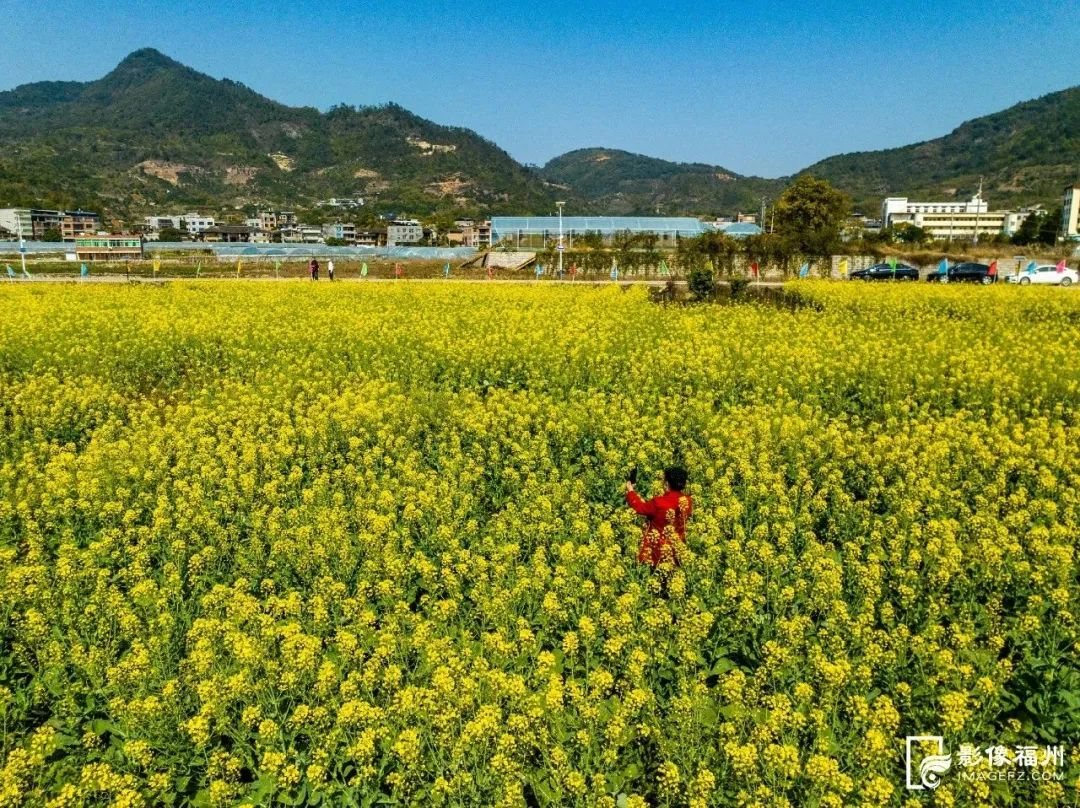 田园乡村 实景照片