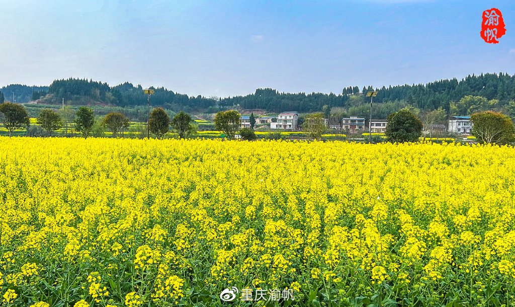 徐舍现代农业产业园