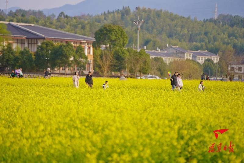田园乡村 实景照片